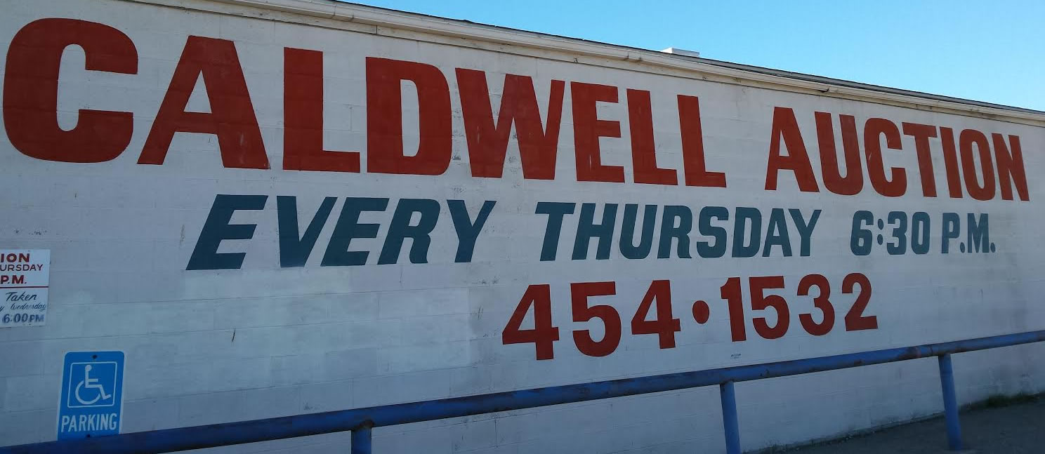 Home Summit Auctions